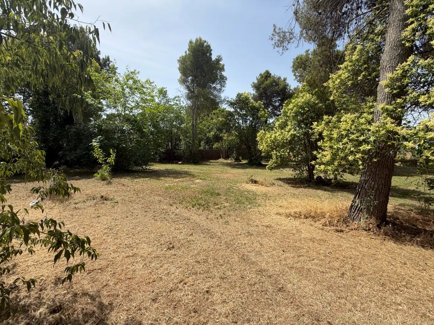 Residencial en venda a Camí de Lleida, 14, Els Alamús