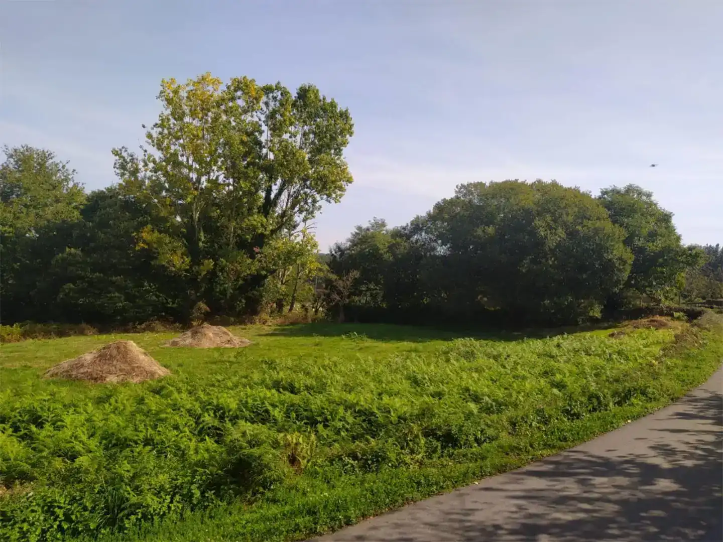 Land for sale in Sober