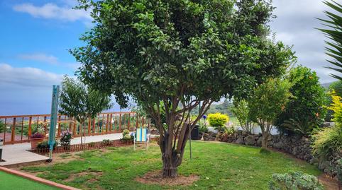 Photo 4 of House or chalet for sale in Palo Blanco, Los Realejos