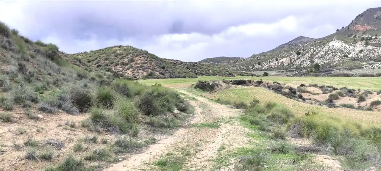Residencial en venda en Lorca
