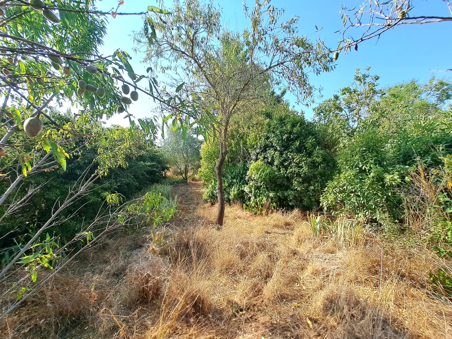 Residential for sale in Anguciana