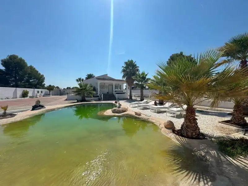 Villa mit Pool zum Verkauf in Diseminado la Malla, imagen 5