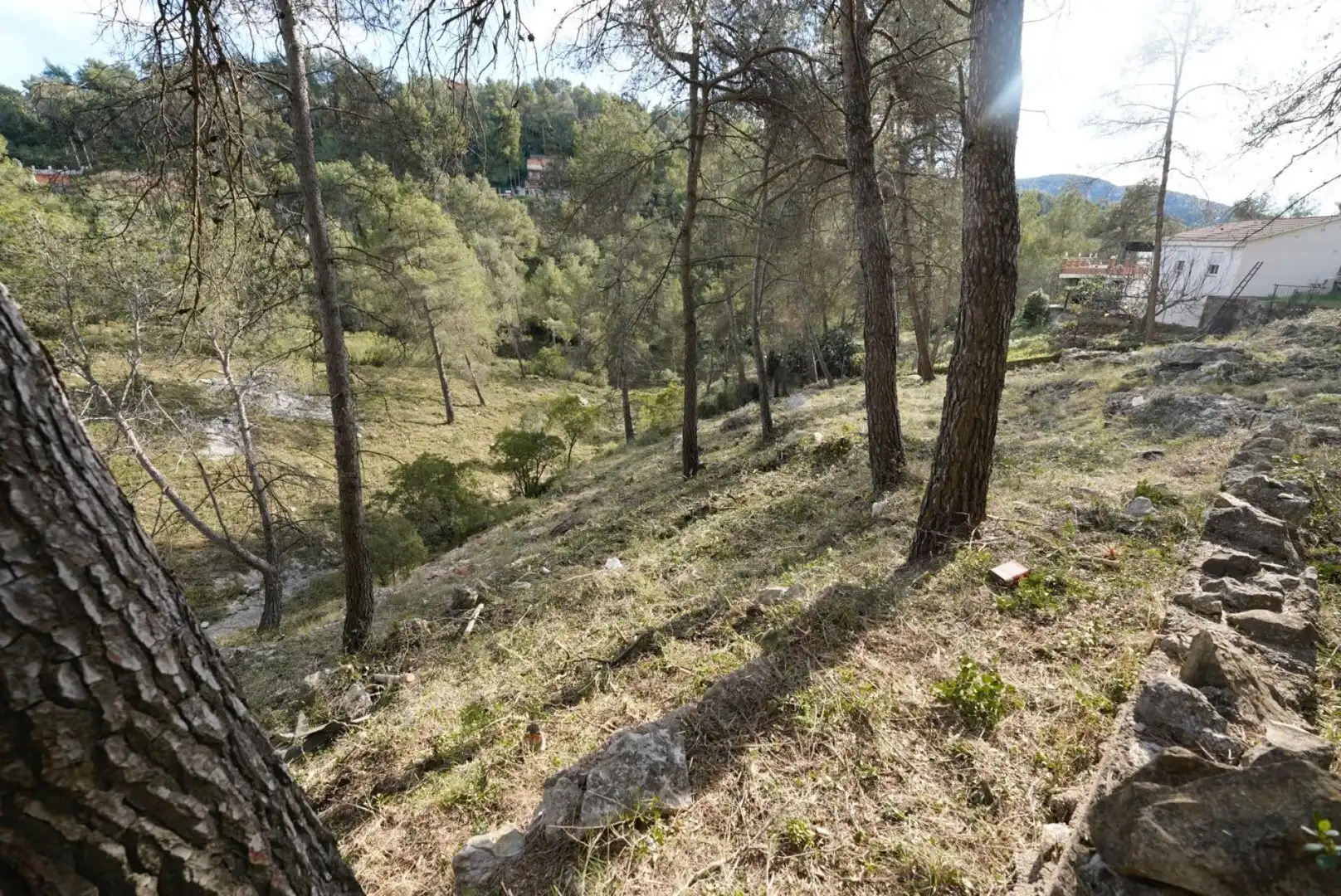 Terrenys i solars en venda a Olesa de Bonesvalls, imagen 8