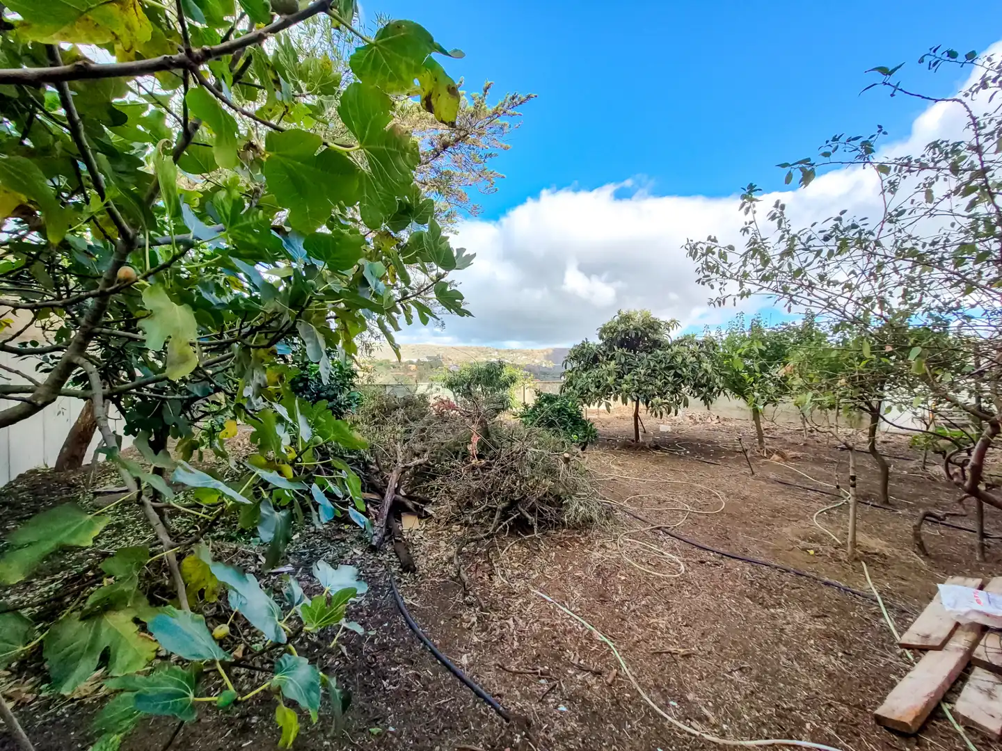 Houses for sale in Santa Brígida  with Private garden, Terrace and Storage room
