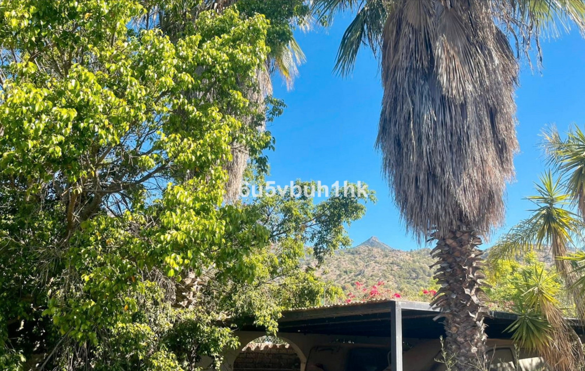 Vista exterior de Casa o xalet en venda en Marbella amb Jardí privat, Terrassa i Piscina