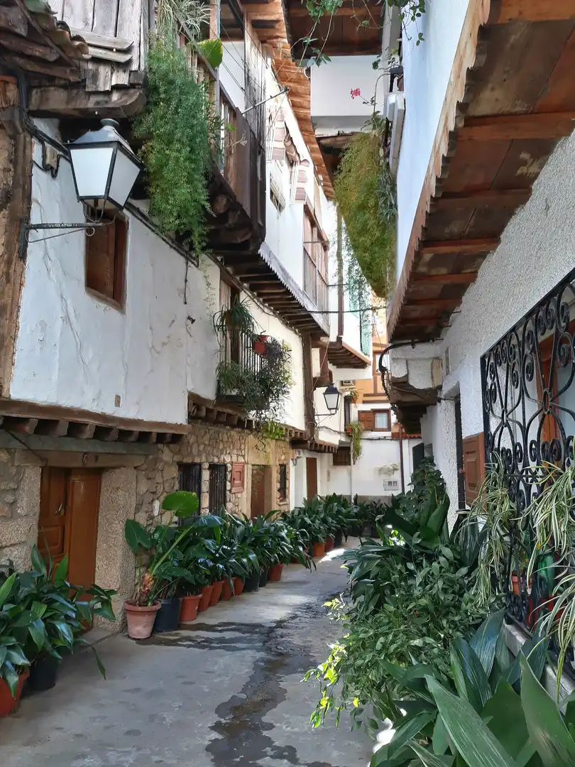 Vista exterior de Finca rústica en venta en Villanueva de la Vera con Calefacción, Jardín privado y Parquet