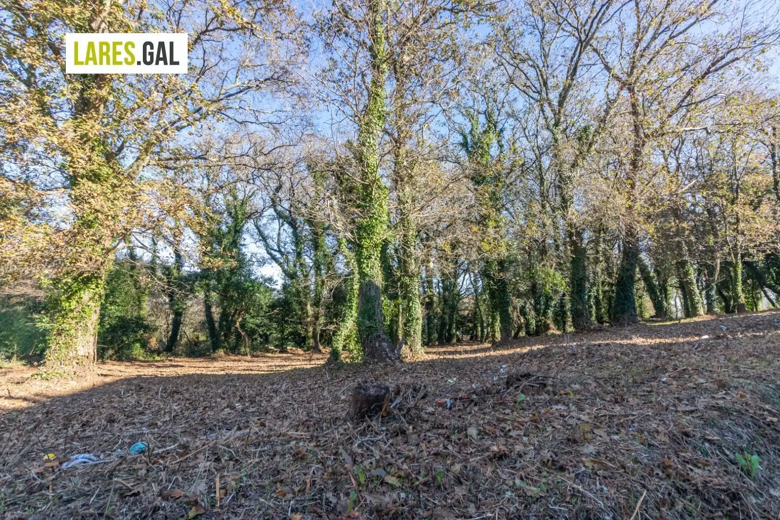 Lands and plots for sale in Rúa Ximeu, imagen 2