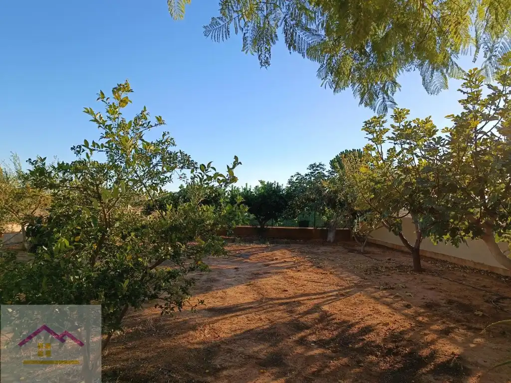 Finca rústica en venda a Calle Poligono 13, Torreblanca