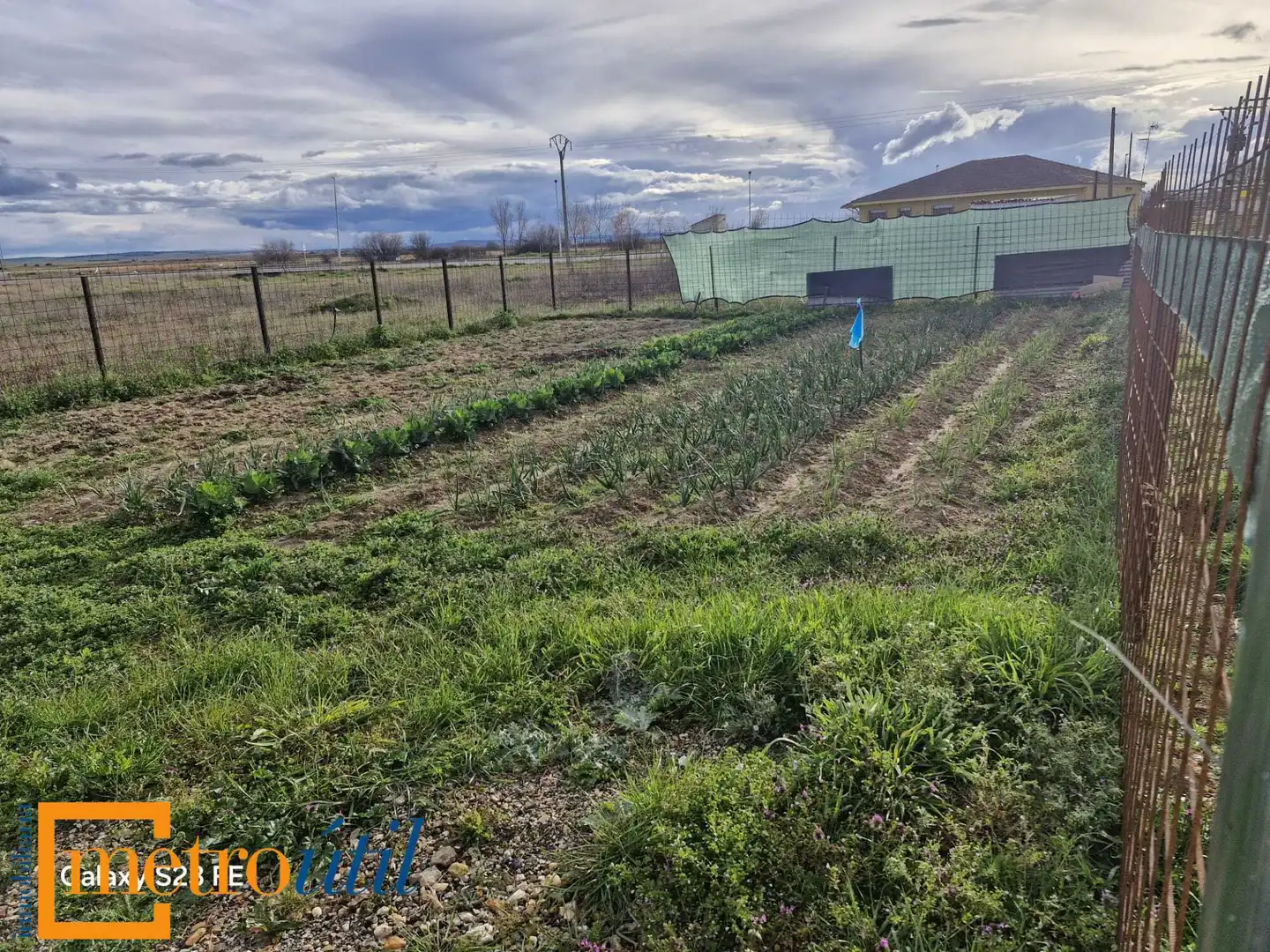 Land for sale in Babilafuente