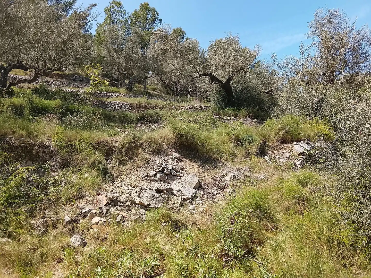 Maison rustique à vendre à Camí de la Finca del Governador, imagen 5