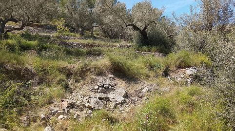 Foto 5 de Finca rústica en venta en Camí de la Finca del Governador, Urbanitzacions, Tortosa