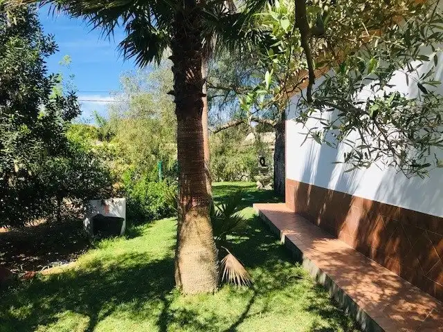 Jardí de Casa o xalet de lloguer en Chiclana de la Frontera amb Calefacció, Jardí privat i Terrassa