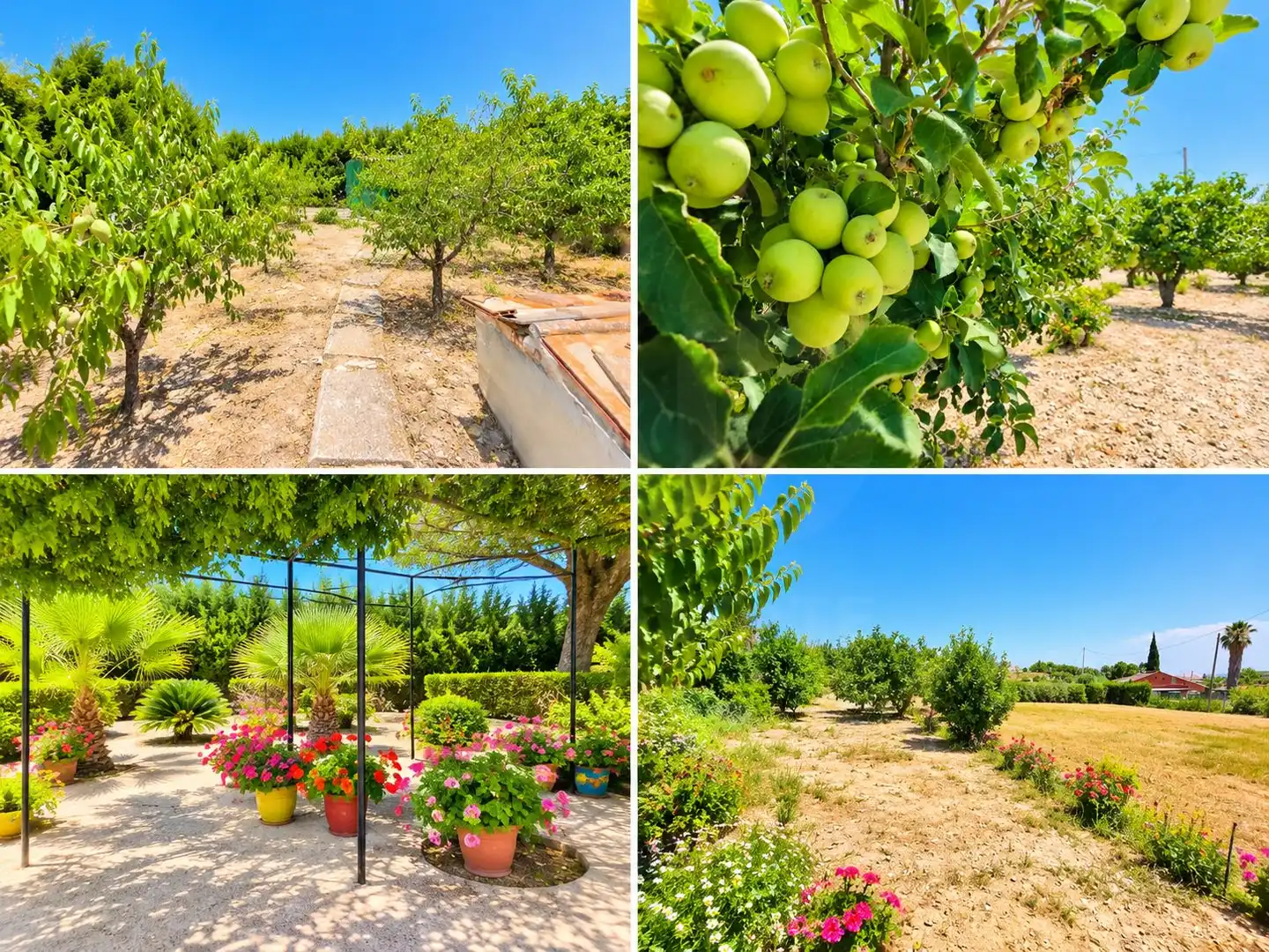 Casa en venta en Cieza, imagen 18