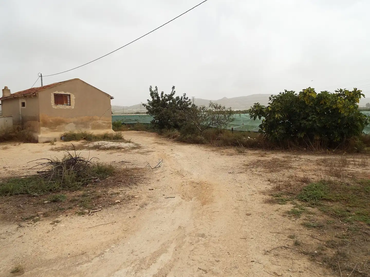 Terreno rústico en venta en Monforte del Cid, imagen 6