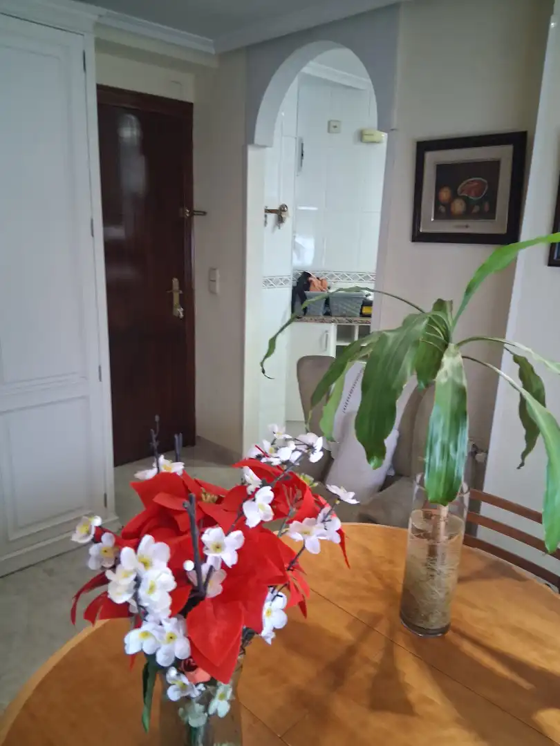 Wohnung zum Verkauf in Madrid mit Heizung, Parkett und Ofen