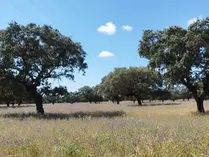 Terreni e lotti in vendita a Norte, imagen 40