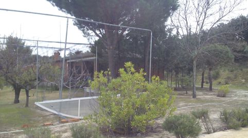 FINCA RUSTICA EN ALDEA DEL FRESNO, imatge 5