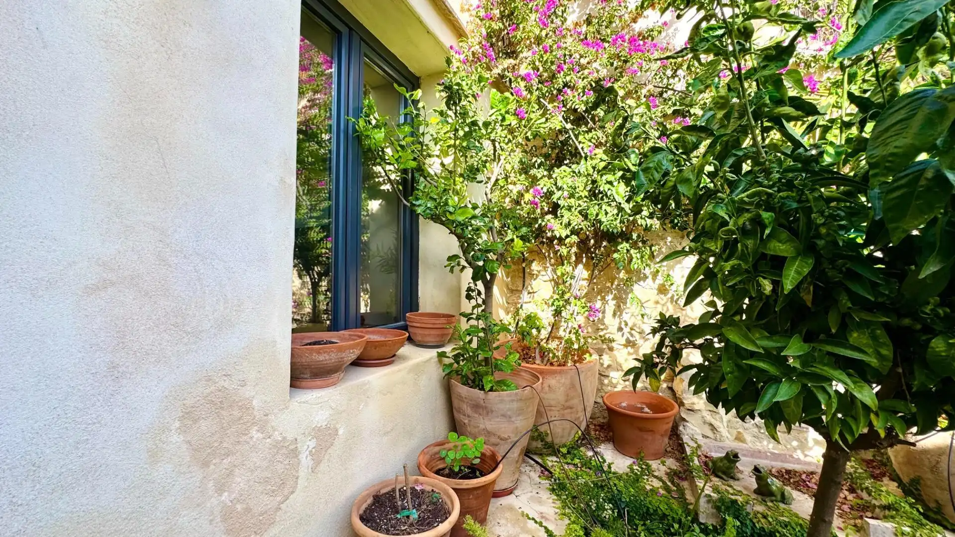 Terrassa de Casa o xalet en venda en Alicante / Alacant amb Jardí privat, Terrassa i Piscina