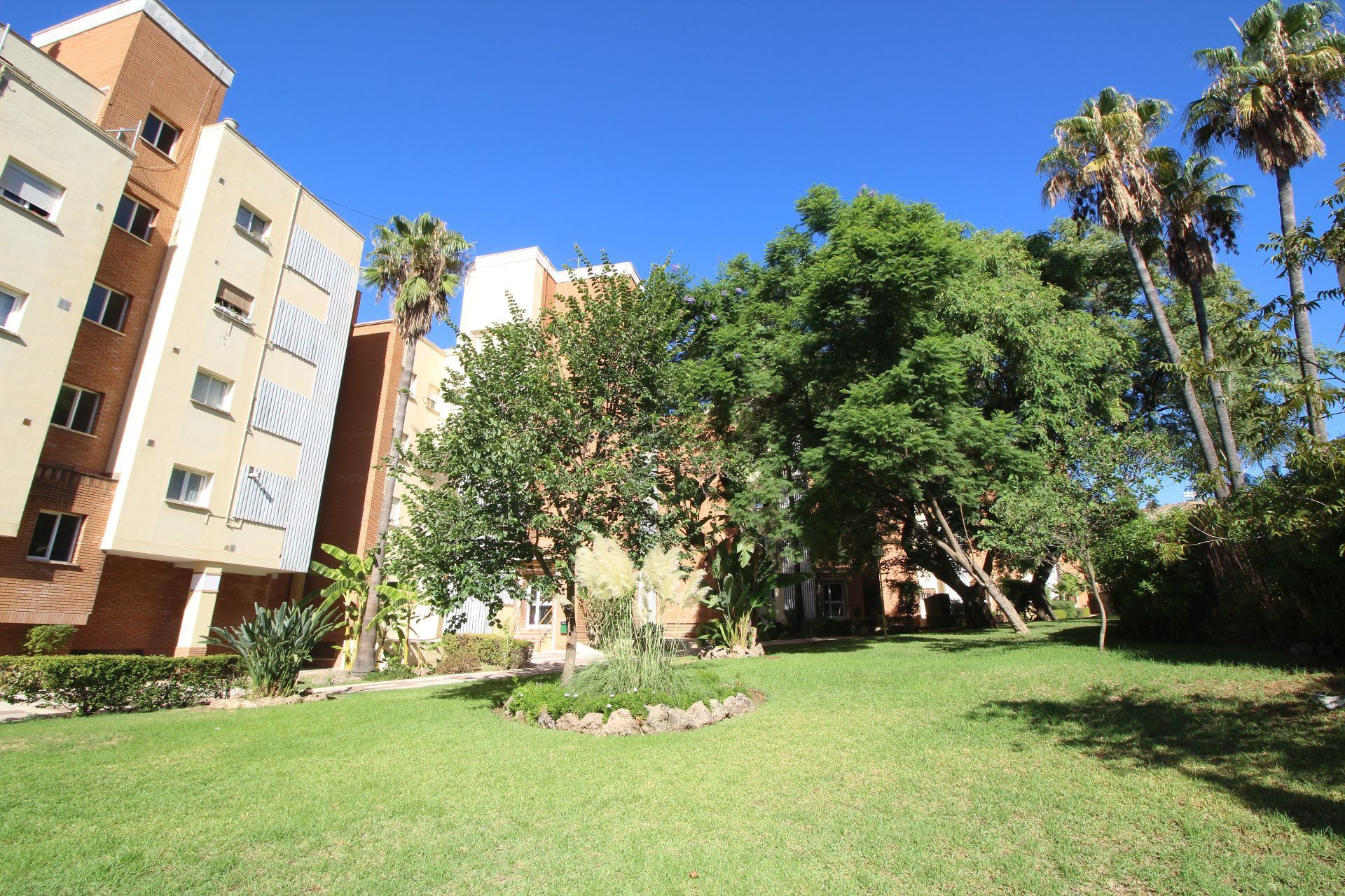 Exterior view of Attic to rent in Málaga Capital  with Terrace