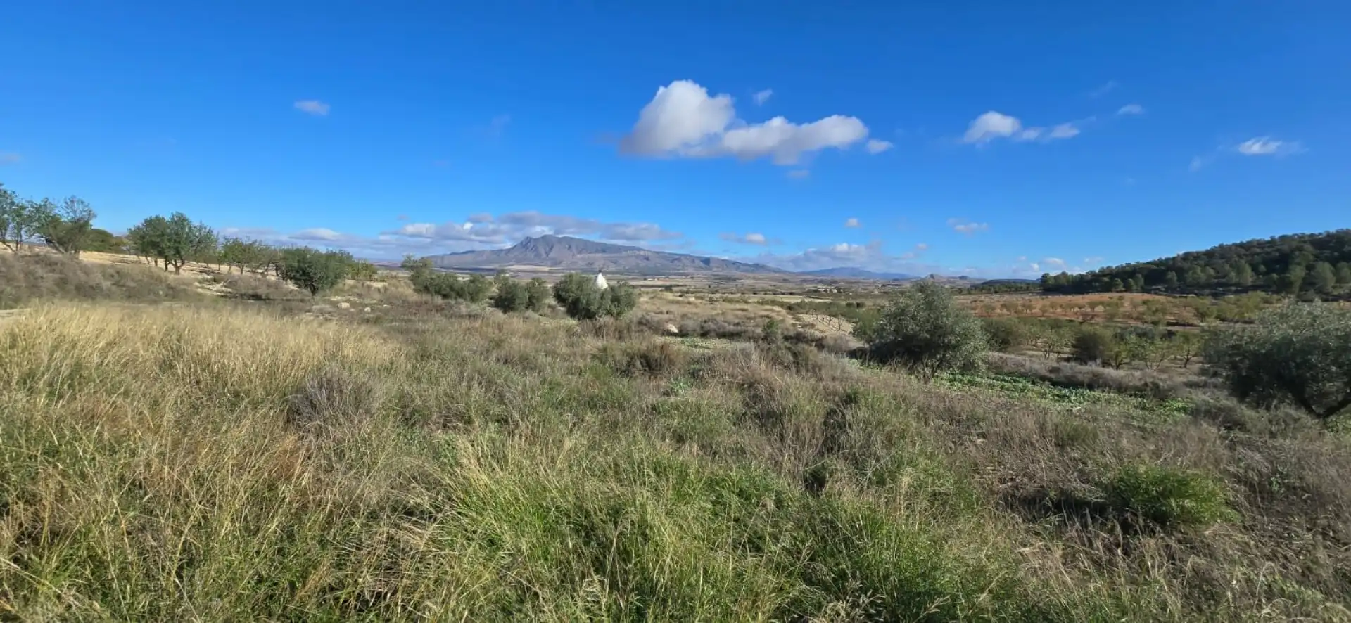 Villa à vendre à Avenida de Murcia 33, imagen 11