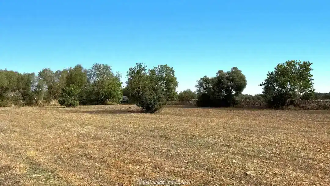 Terreno residencial en venta en Zona Rústica - Interior, imagen 5