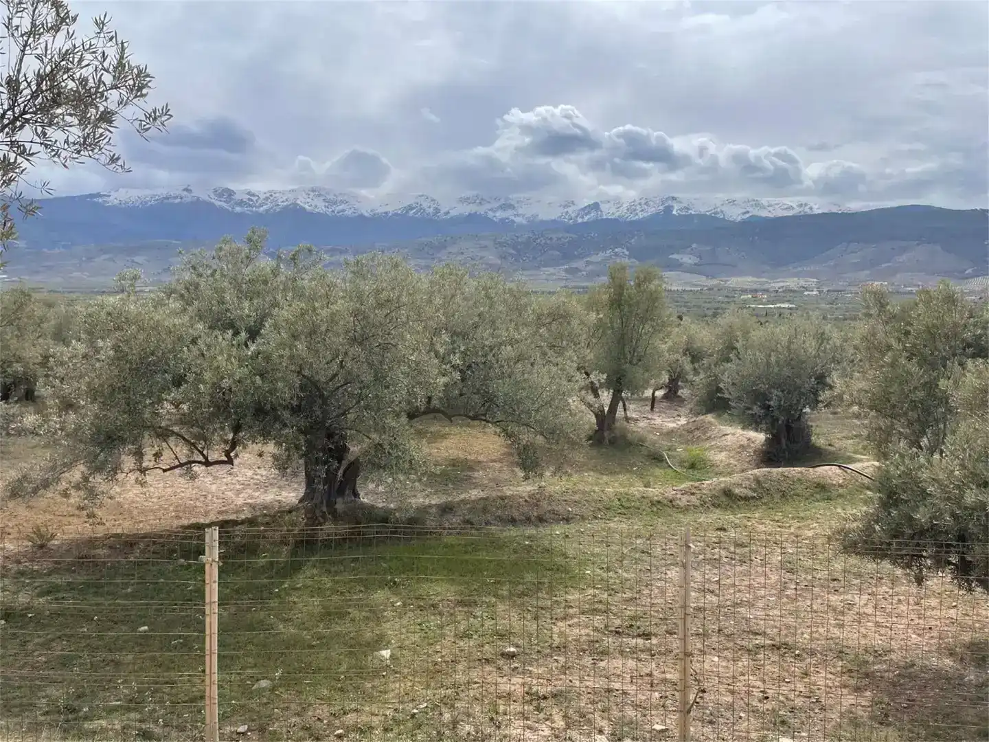 Finca rústica en venda en Fiñana