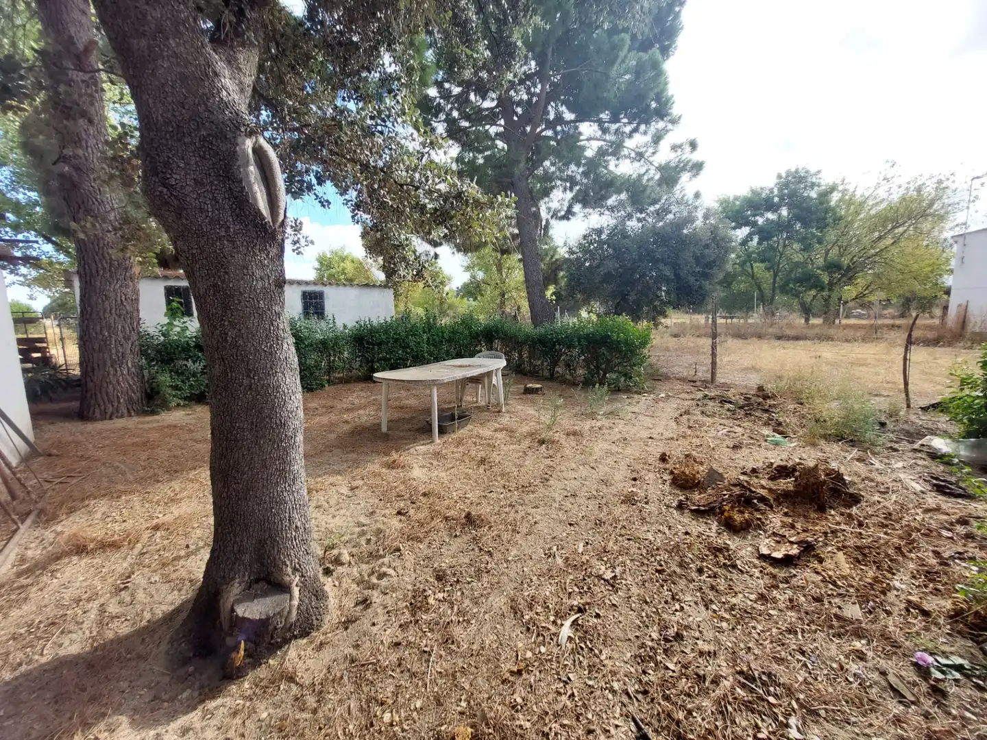 Terreni e lotti in vendita a Santa Cruz del Retamar pueblo, imagen 21