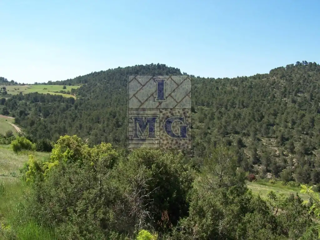 Finca rústica en venta en Yeste