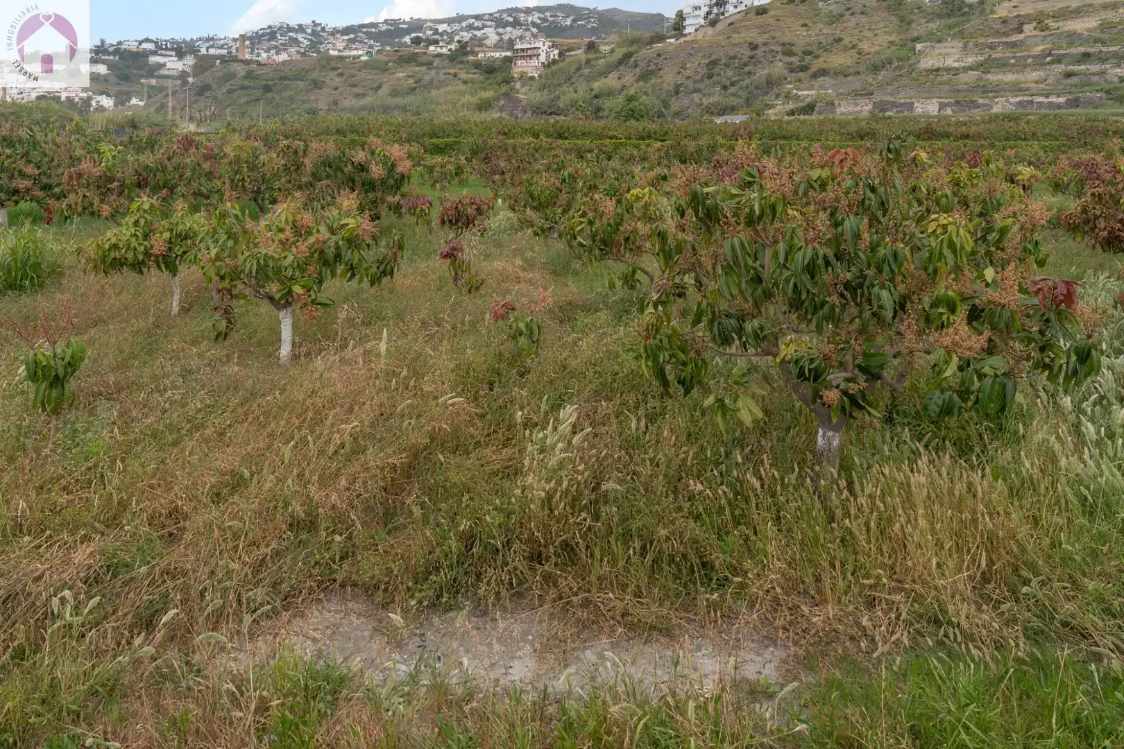Residential for sale in CARRETERA MALAGA (CAL), 74, La Caleta - La Guardia
