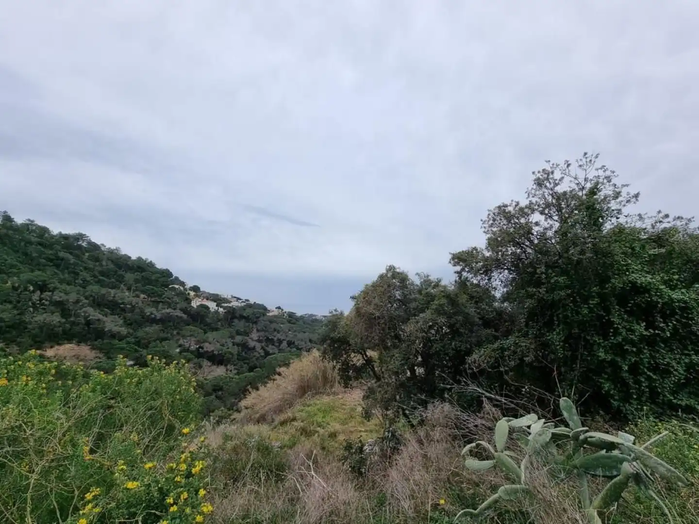 Terrenos y solares en venta en Serra Brava, imagen 12