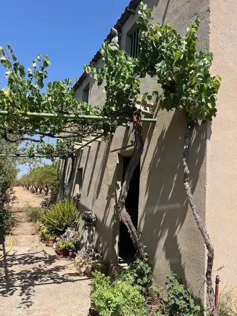 Vista exterior de Finca rústica en venta en Barberà de la Conca con Amueblado