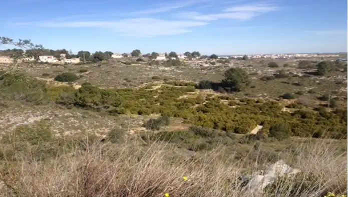 Terrain rustique à vendre à Urb Monte Júcar, imagen 8
