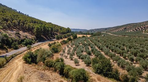 Foto 4 de Terreny en venda a Deifontes, Granada