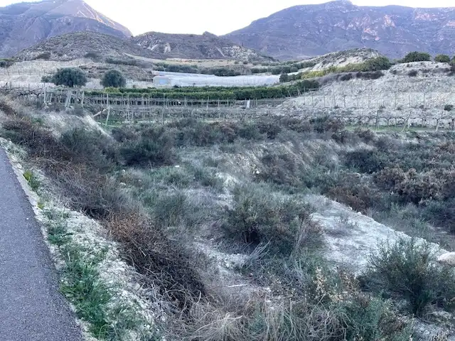 Terreno rústico en venta en Calle Taha de Marchena 13, imagen 8