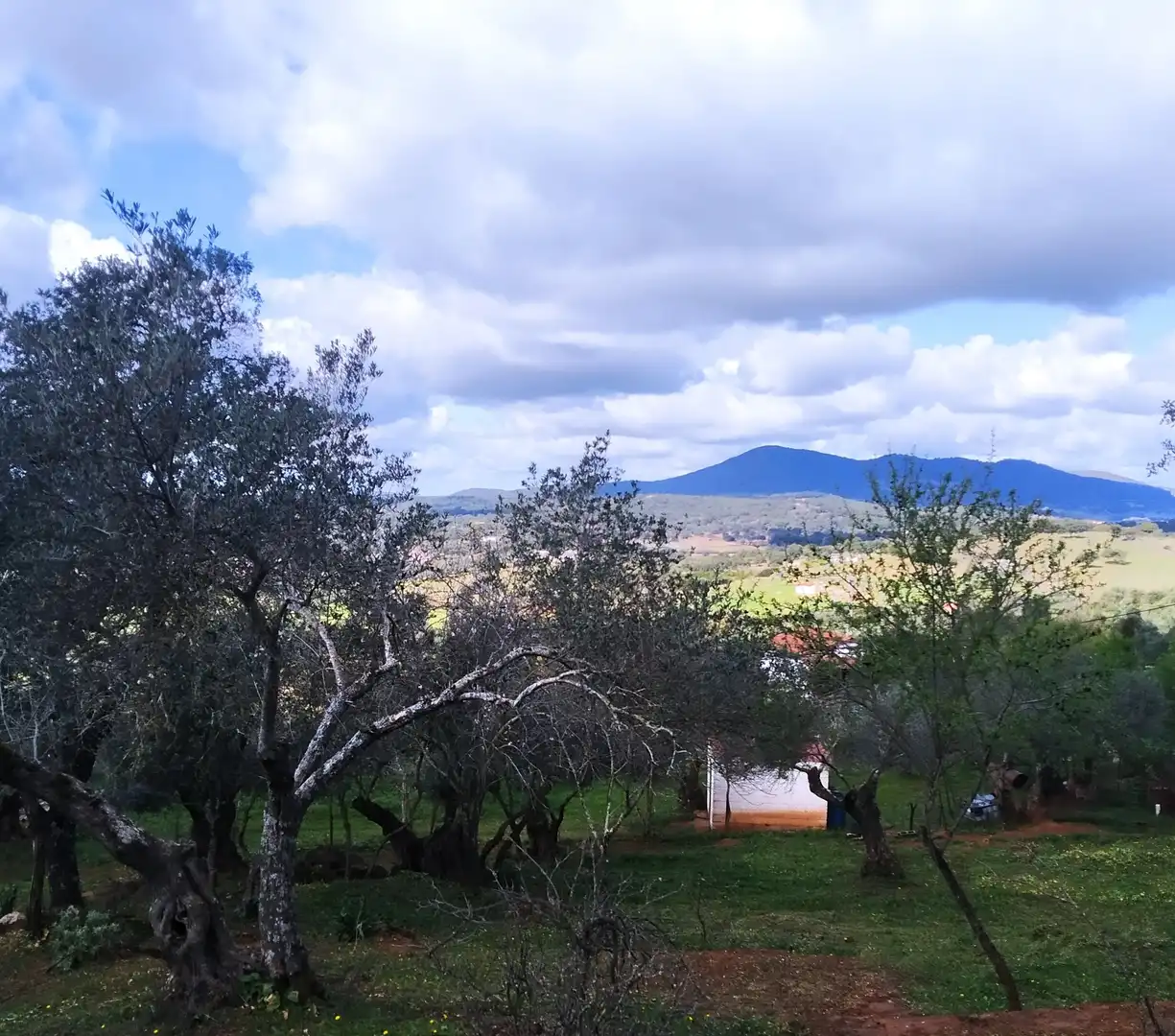 Terreni e lotti in vendita a Jerez de los Caballeros, imagen 15