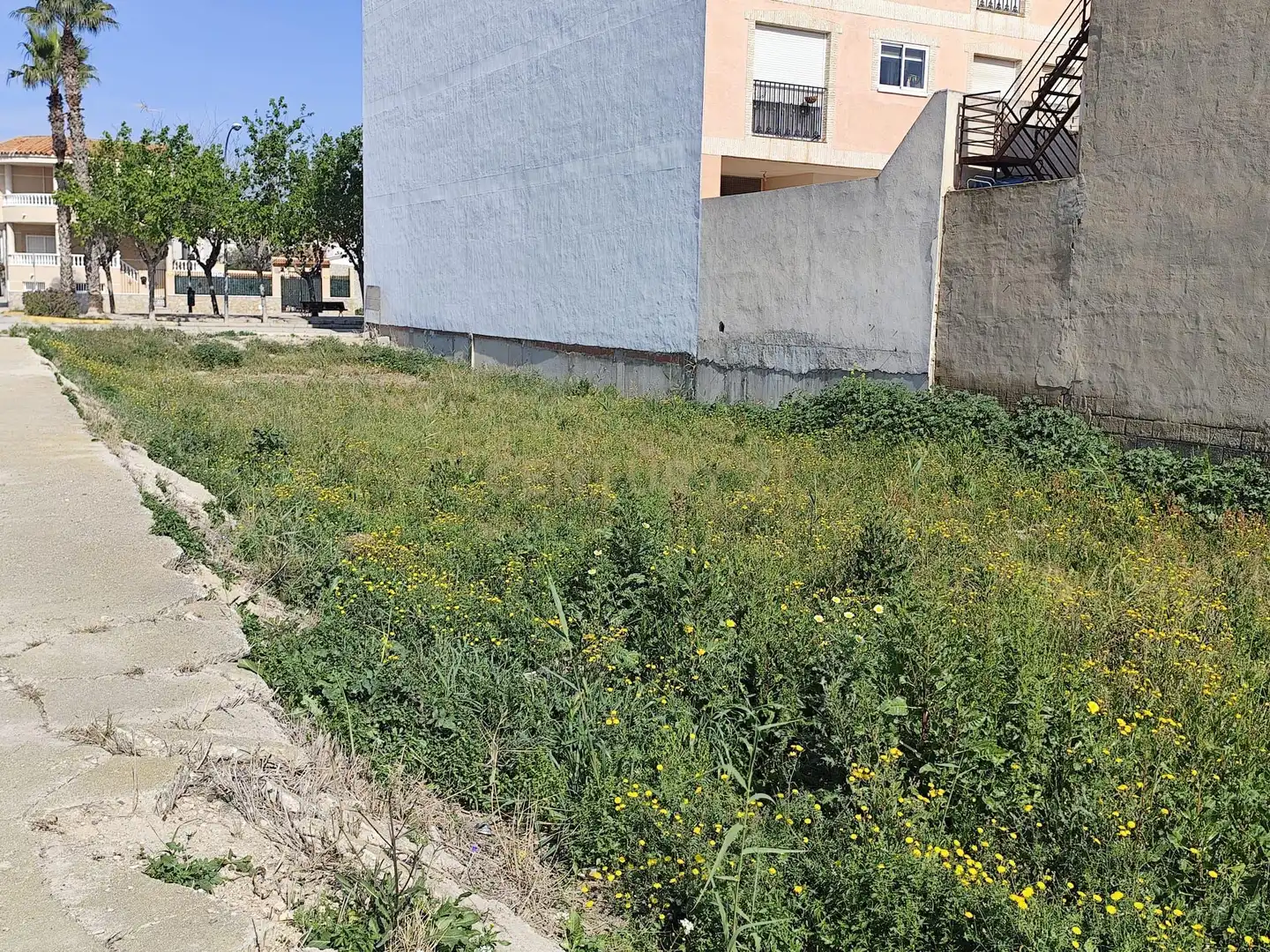Terreno residencial en venta en Calle Miguel Delibes, 2, Dolores, Spain, imagen 7