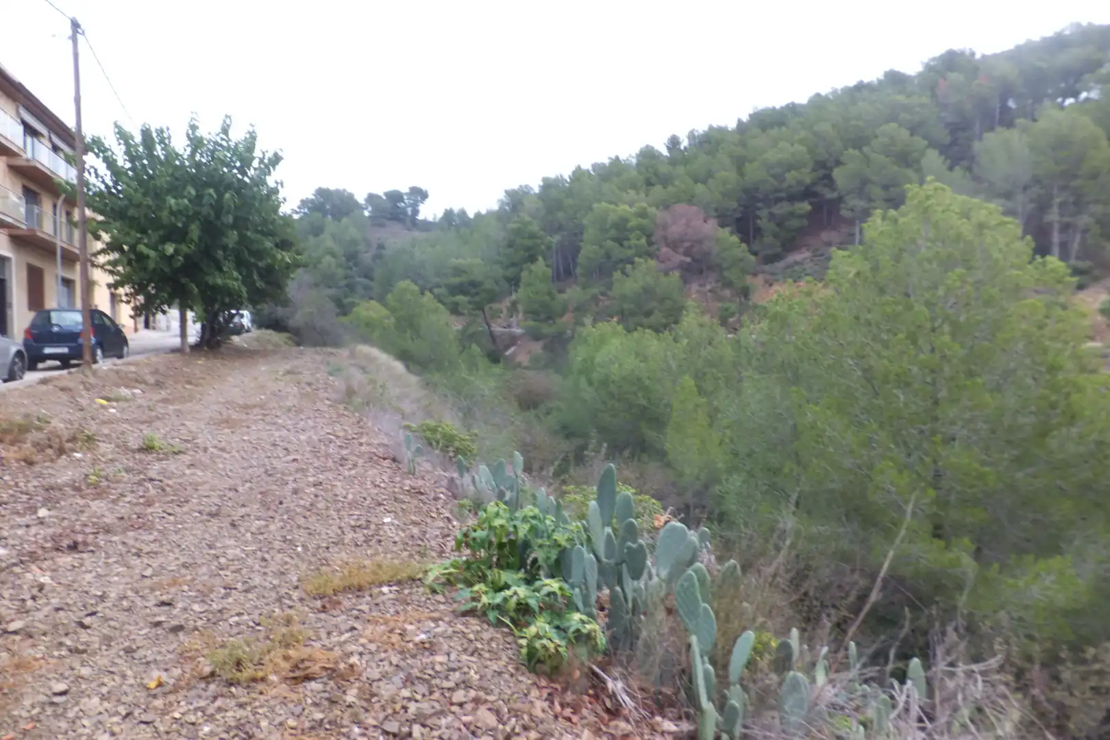 Terreno rustico in vendita a Carrer de Catalunya 23, imagen 17