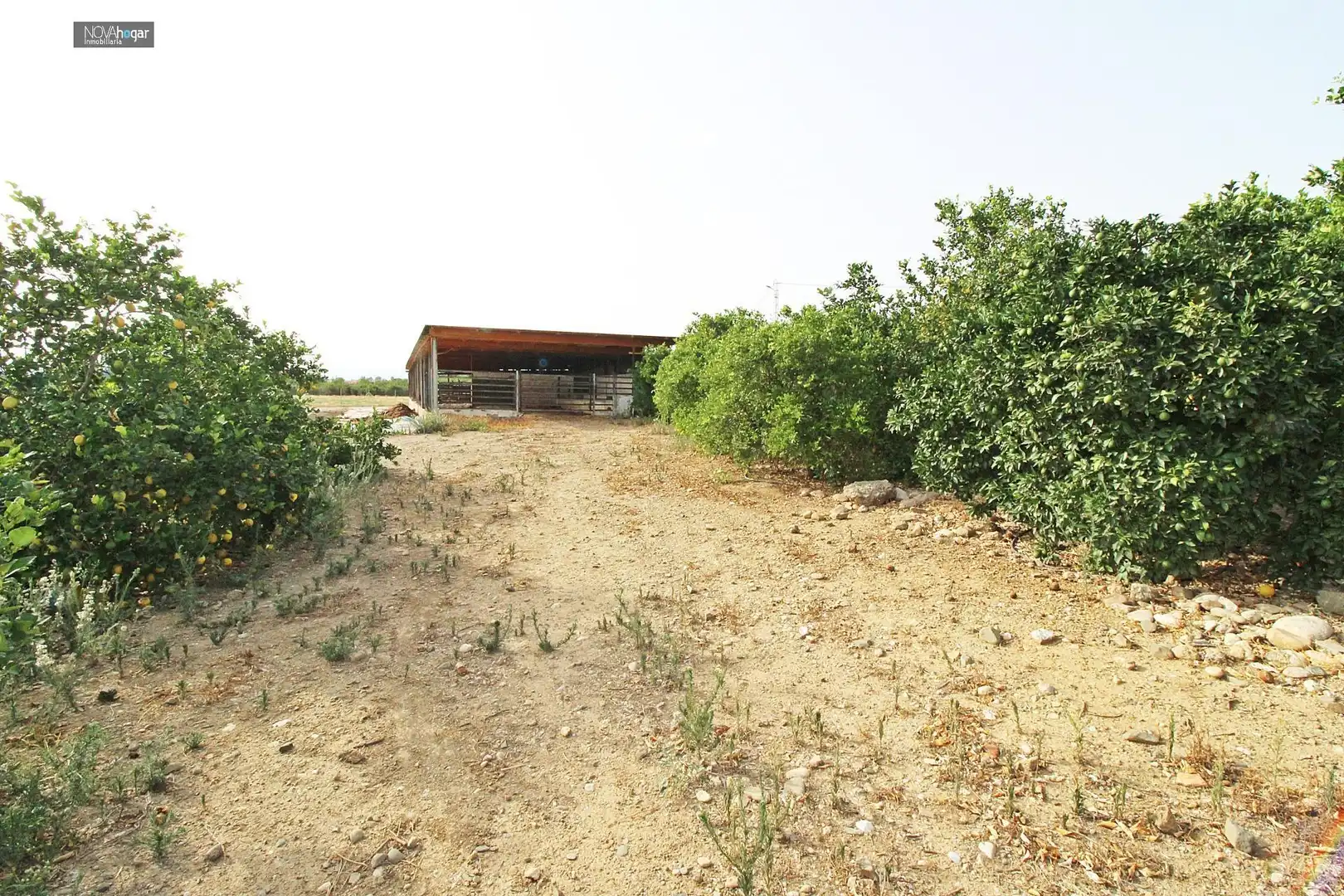 Finca rústica en venta en Málaga