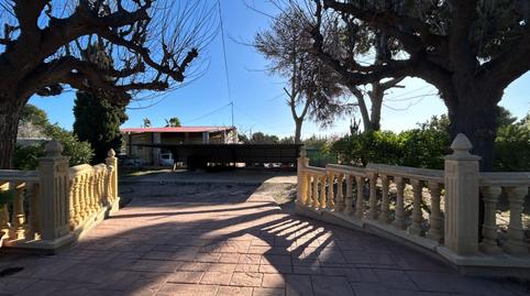 Foto 4 de Finca rústica en venda a Partida Cucuch, Novelda, Alicante