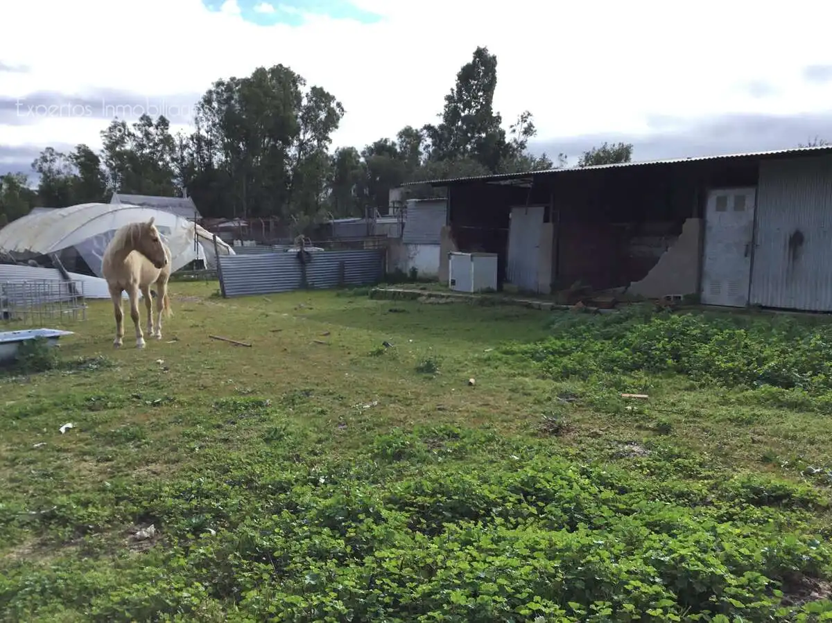 Casa rústica amb piscina en venda a Almonte ciudad, imagen 25