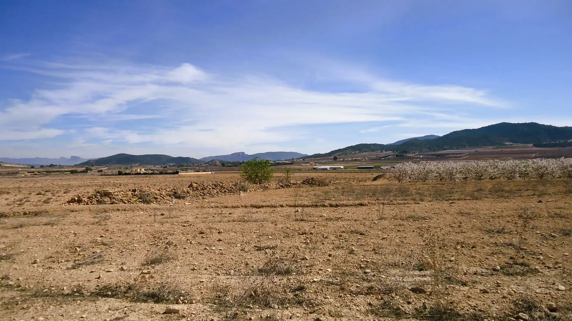 Terreno rústico en venta en El Pinós / Pinoso, imagen 2