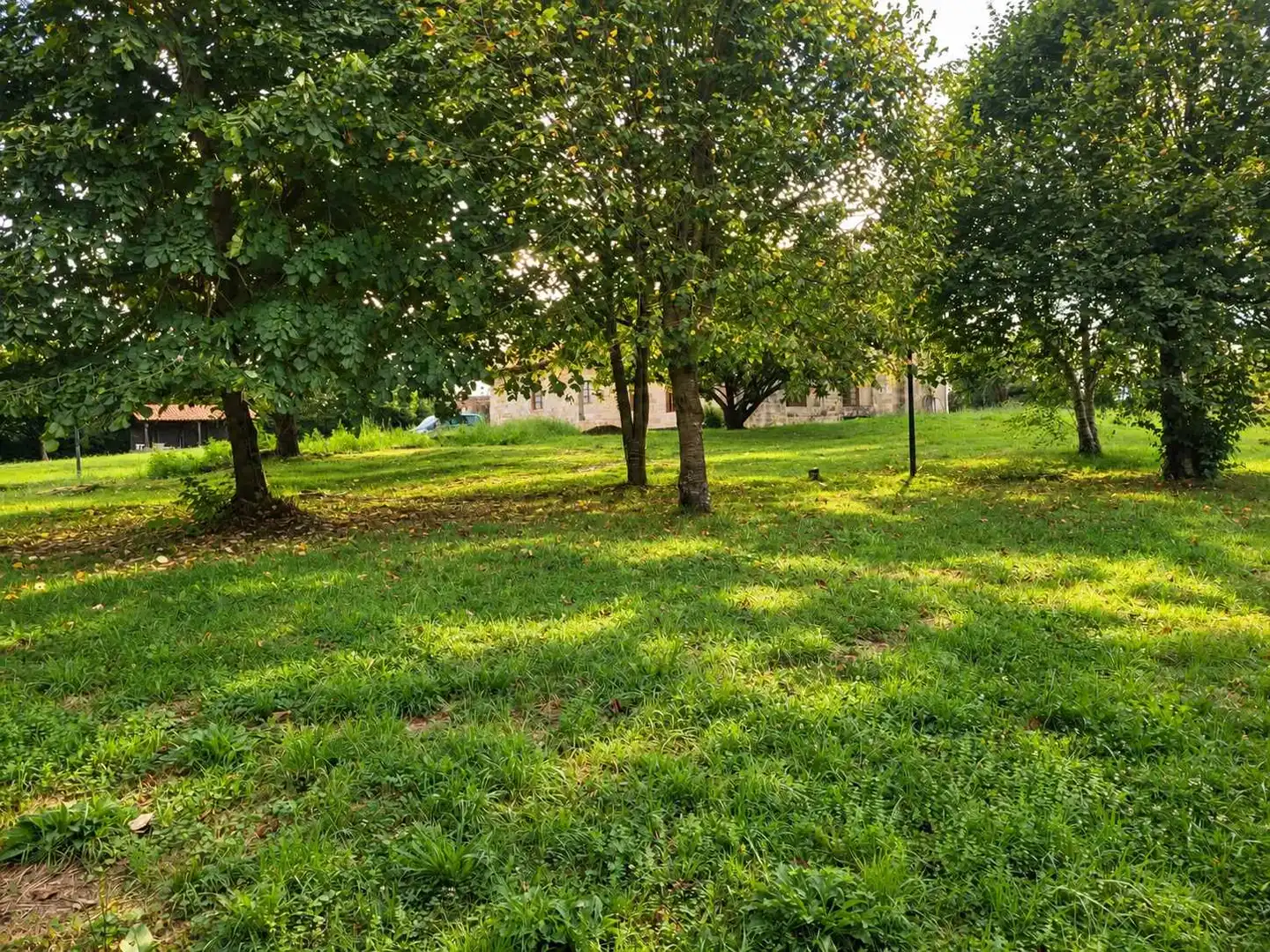 Villa à louer à Avenida de Dorat, imagen 8