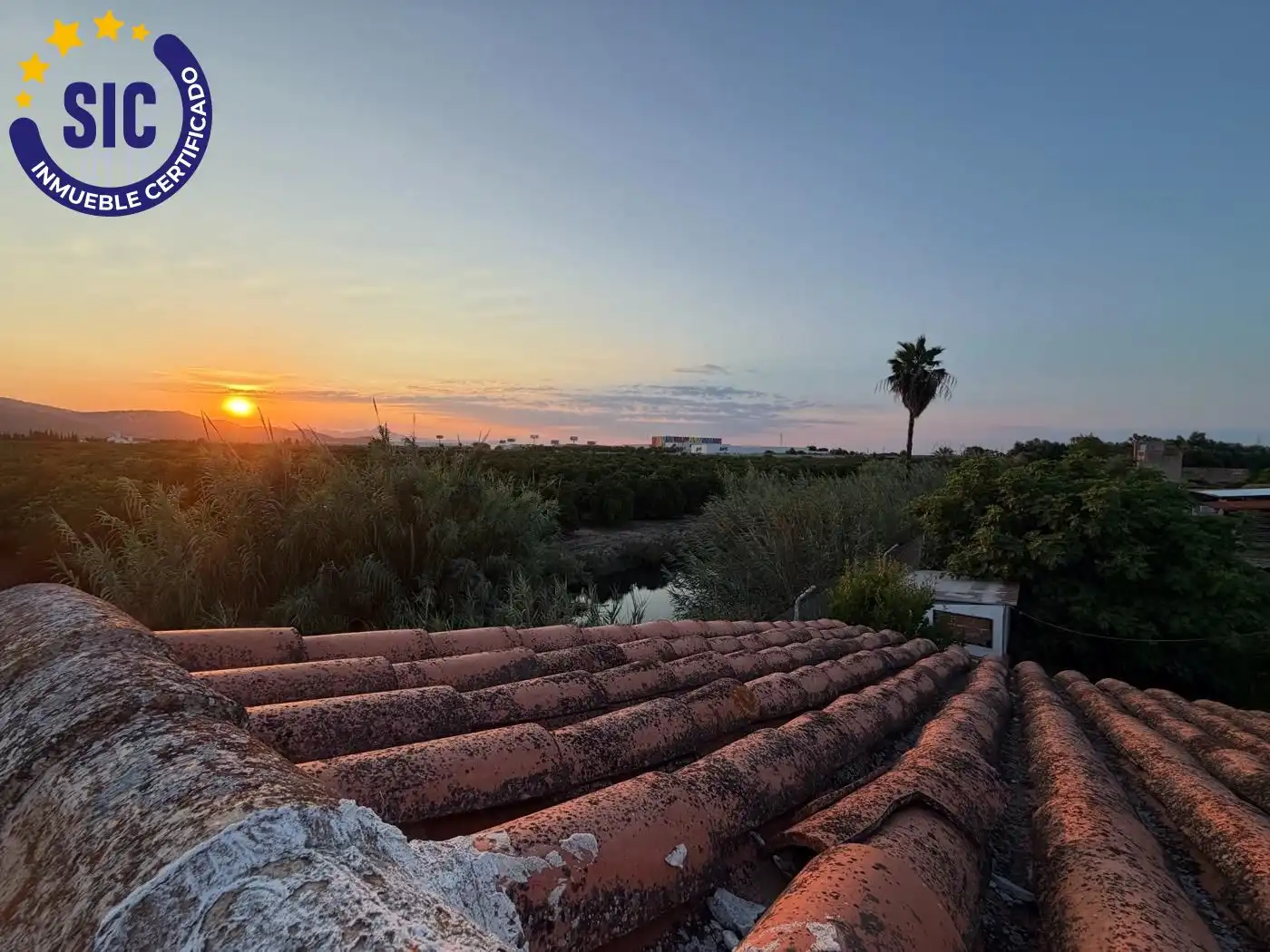 Vista exterior de Casa o xalet en venda en Oliva amb Aire condicionat, Jardí privat i Terrassa