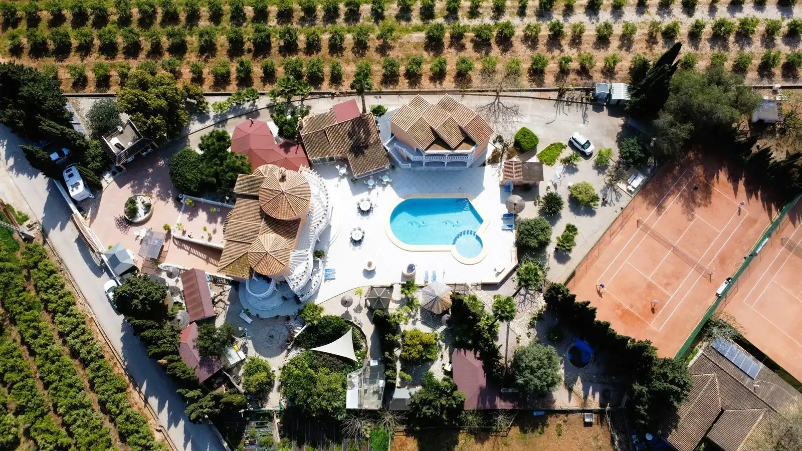 Swimming pool of Buildings for sale in Els Poblets