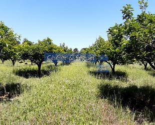 Finca rústica en venda en Ontinyent amb Terrassa