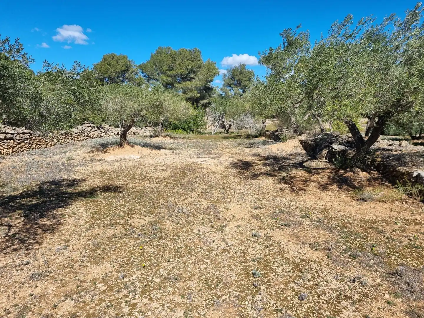 Terreno rustico in vendita a El Perelló, imagen 14