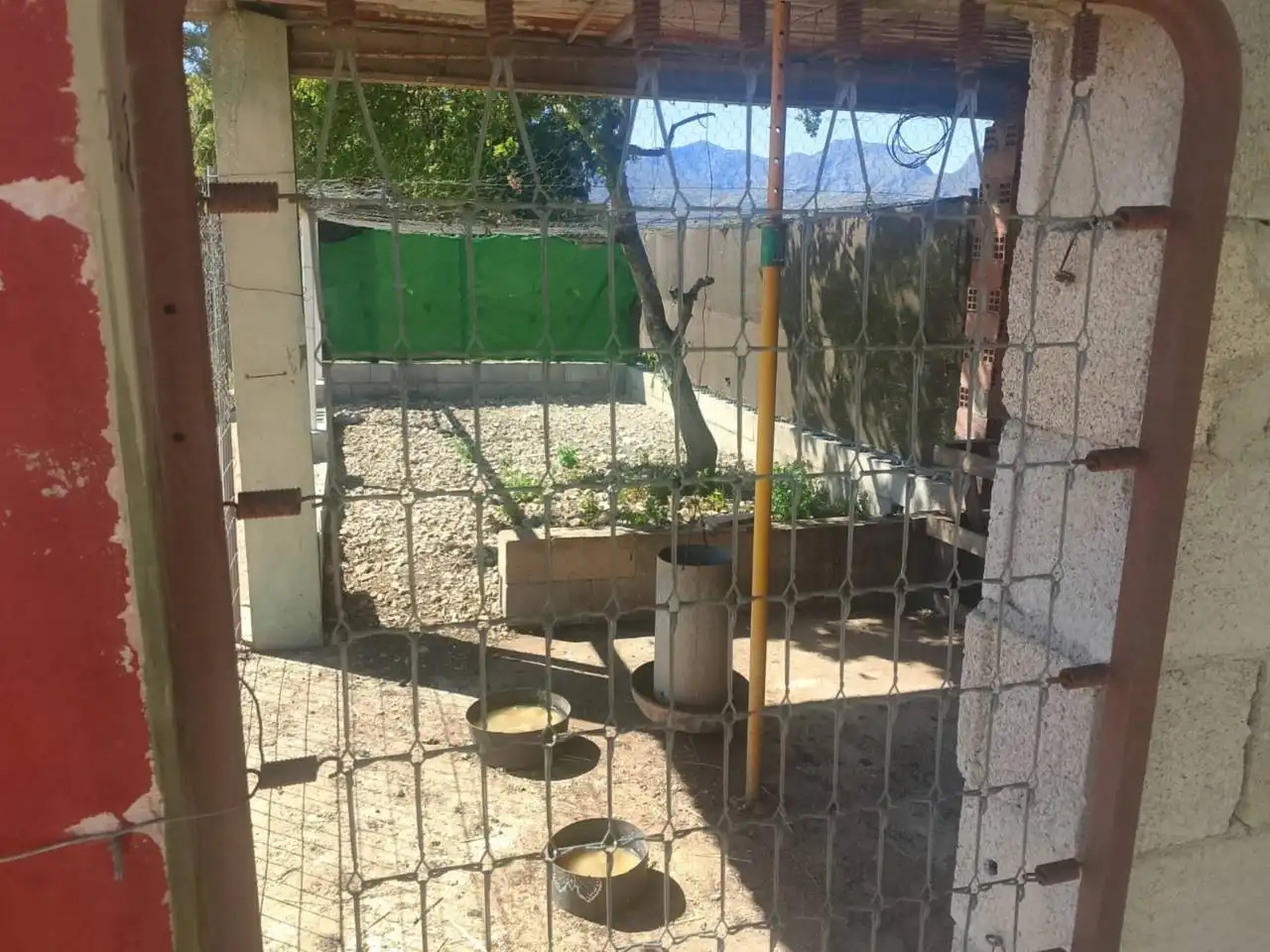 Jardí de Casa o xalet en venda en Ador amb Terrassa, Piscina i Moblat