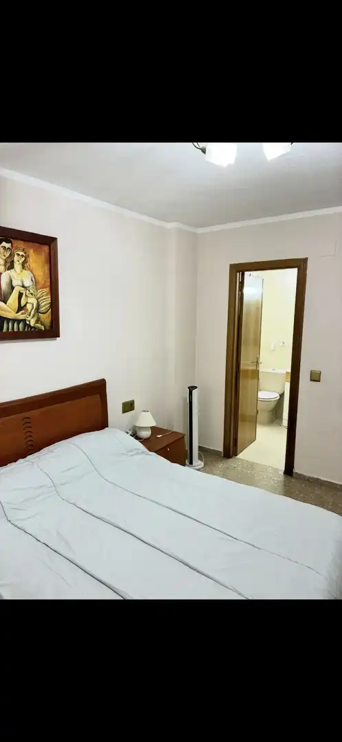 Apartament amb ascensor de lloguer a La Patacona, imagen 14