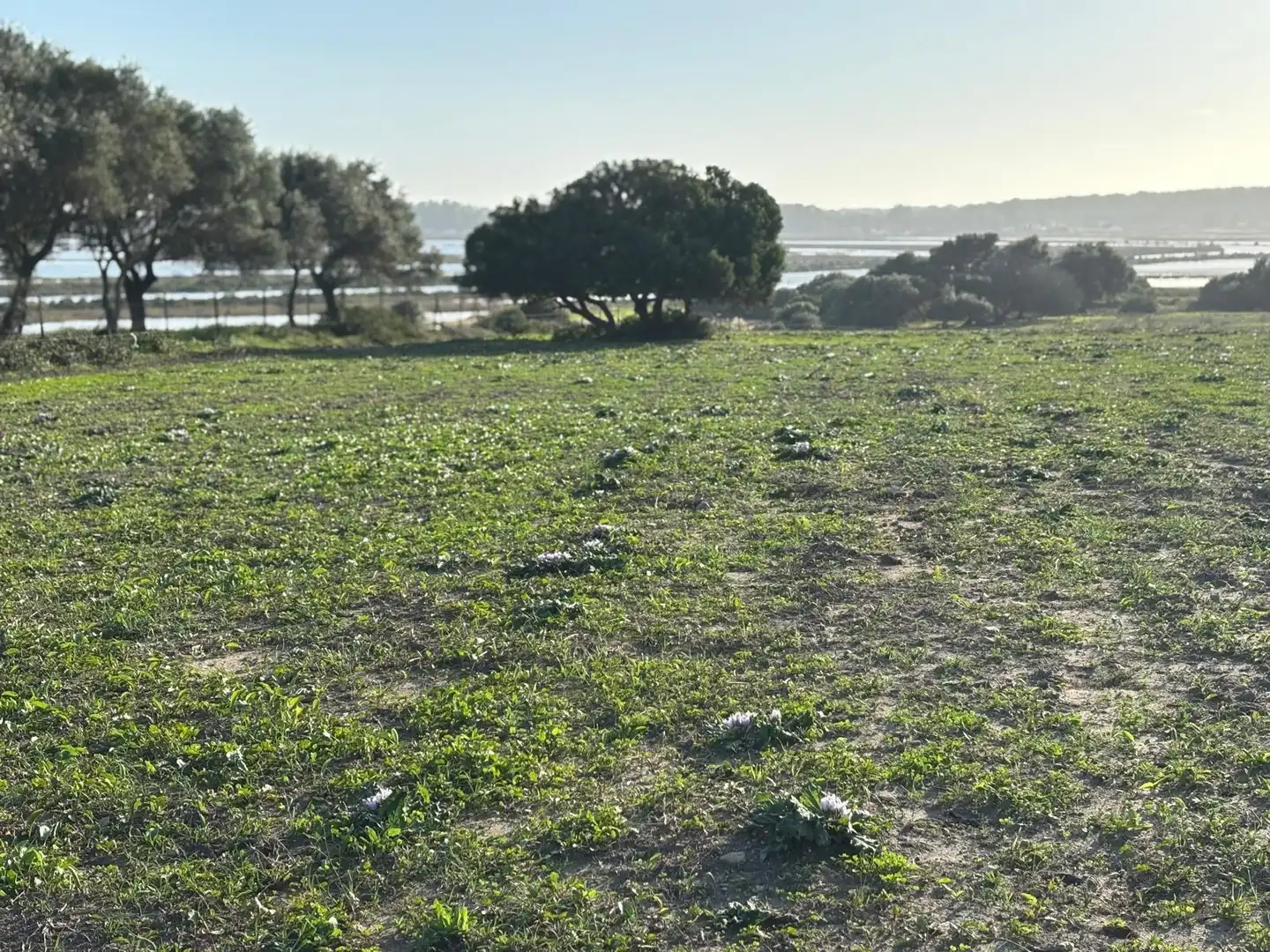 Terreni e lotti in vendita a Vejer, imagen 53