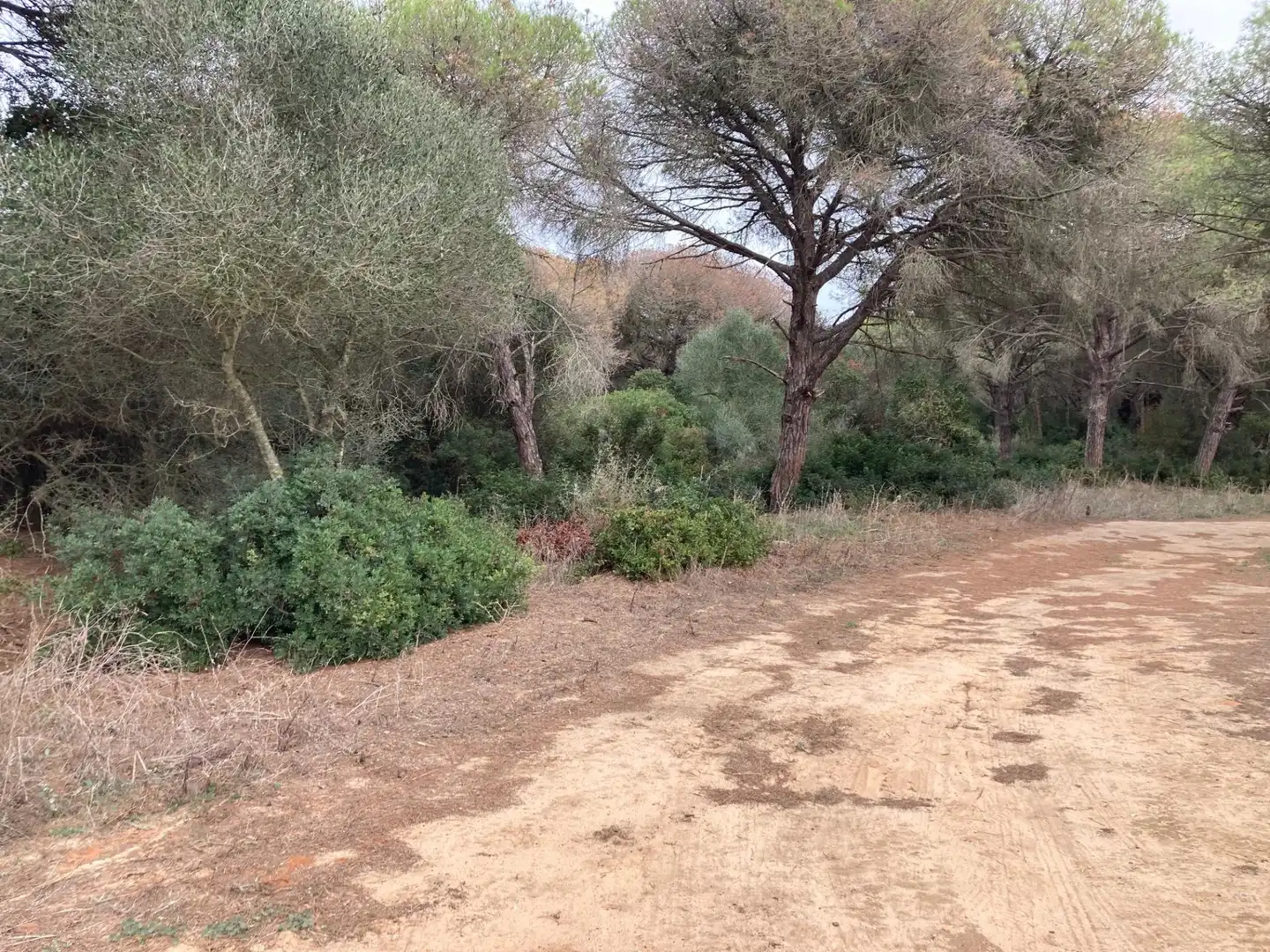 Grundstücke und Bauplätze zum Verkauf in Vejer, imagen 3